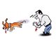 狂犬病引发一天射精四五十次是真的吗？如何防范狂犬病？