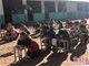 河北多所乡村小学未供暖：学生们在操场跑步取暖室外写作业