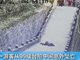 实拍游客九华山景区坠落身亡 惊险瞬间曝光