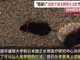 美日研究发现血液中酶或可让人变年轻